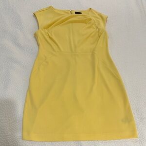 The Limited Sunny Yellow Dress
